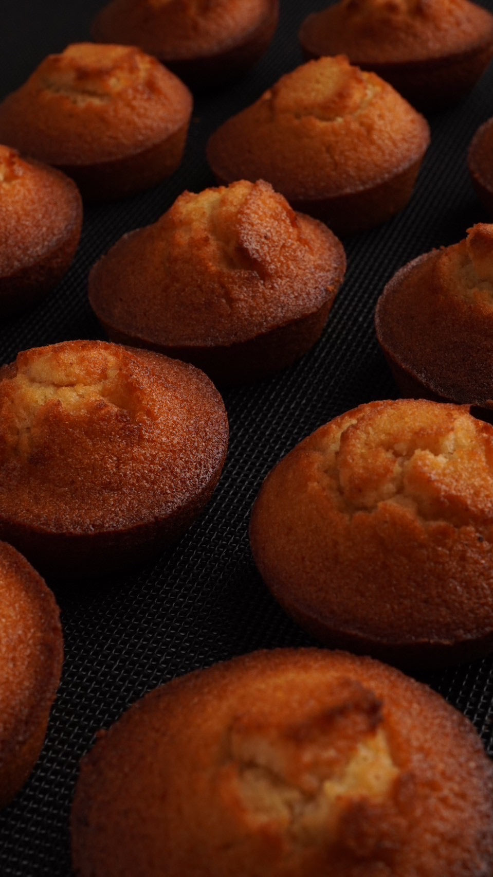 フィナンシェ(6個入り)